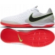Футзалки Nike Legend 8 Academy IC, AT6099-106